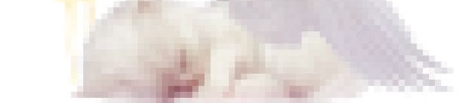 User background